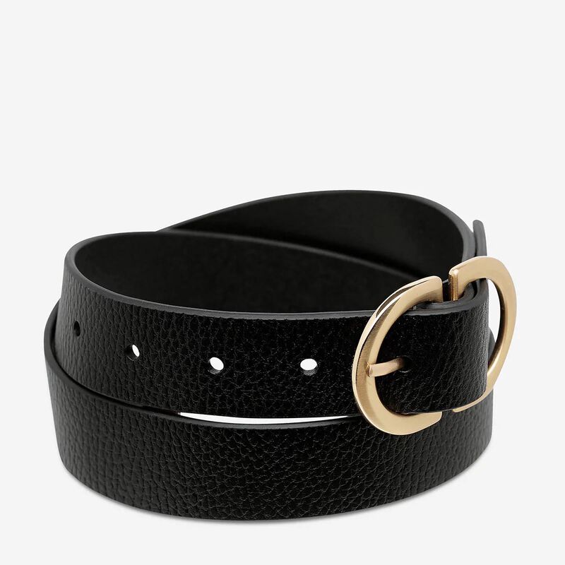 Status Anxiety In Reverse Belt image number 1